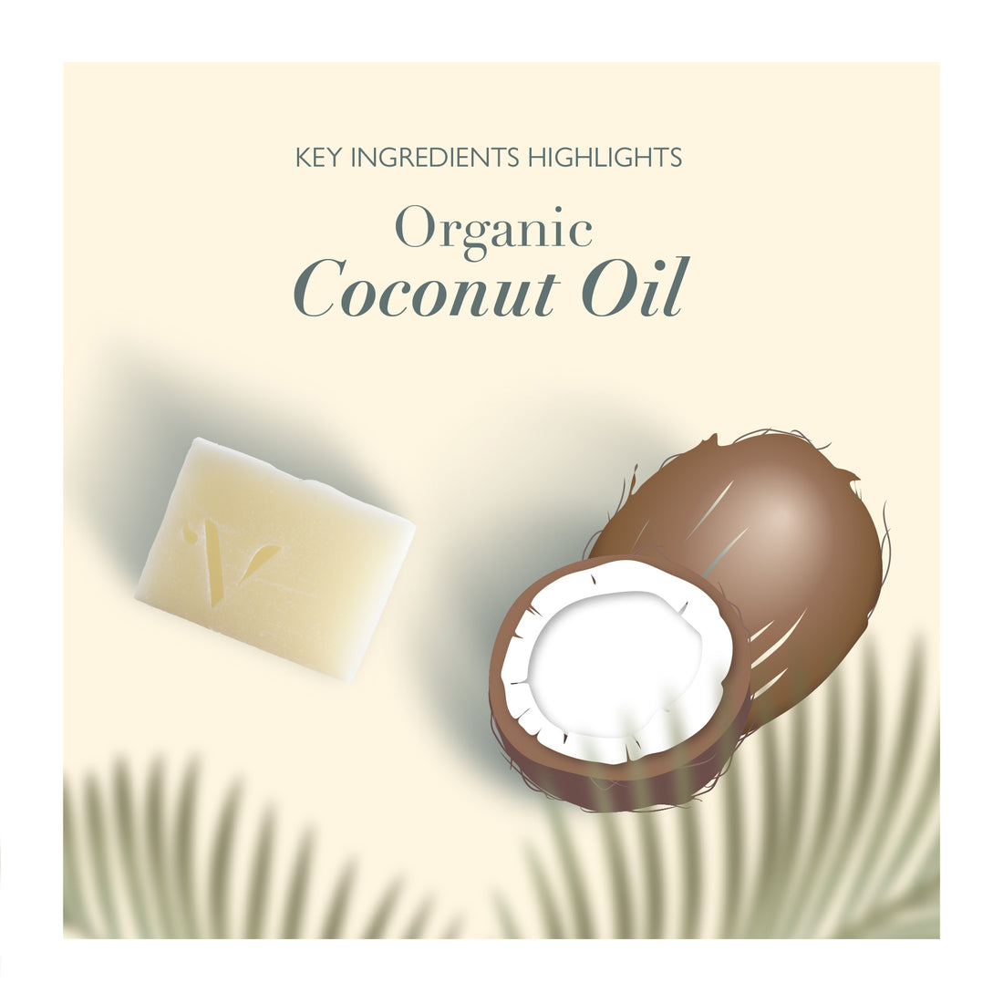 Coconut Oil